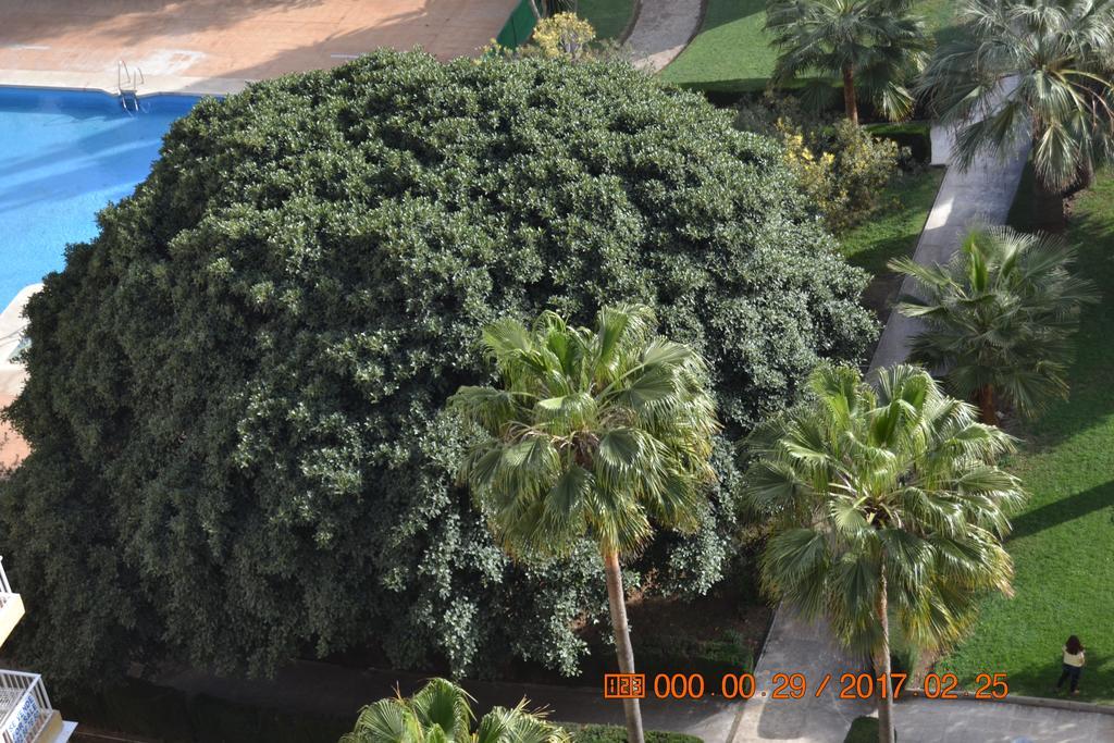 Hercules Apartment เบนัลมาเดนา ภายนอก รูปภาพ